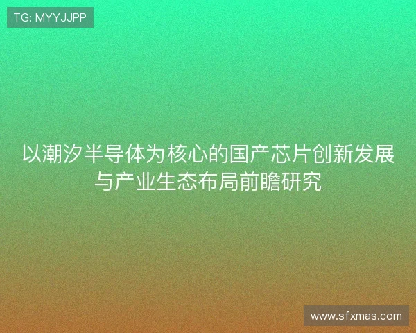 以潮汐半导体为核心的国产芯片创新发展与产业生态布局前瞻研究
